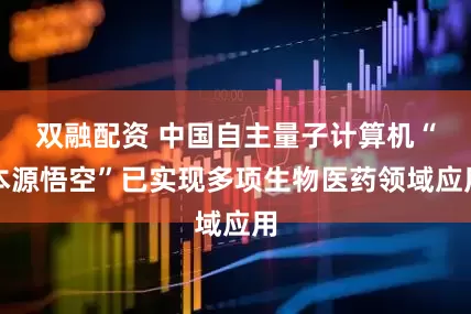 双融配资 中国自主量子计算机“本源悟空”已实现多项生物医药领域应用