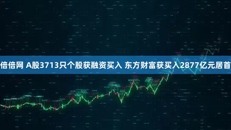 倍倍网 A股3713只个股获融资买入 东方财富获买入2877亿元居首